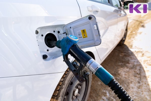 Минэк Коми предложил нескольким крупным компаниям организовать работу заправки у Малой Слуды