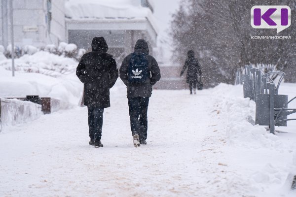 Погода в Коми 16 февраля: северный ветер, небольшой снег