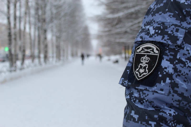 В Сыктывкаре сотрудники вневедомственной охраны пресекли попытку хищения товара из гипермаркета