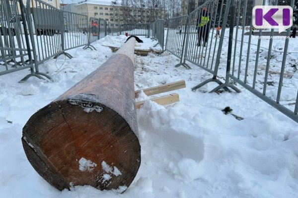 В Сыктывкар привезли масленичный столб