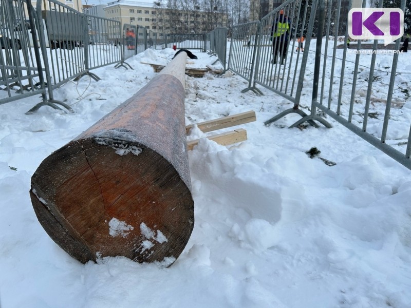 В Сыктывкар привезли масленичный столб