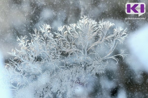 Погода в Коми 19 февраля: днем -15...-20°С, на крайнем северо-востоке -32...-37°С