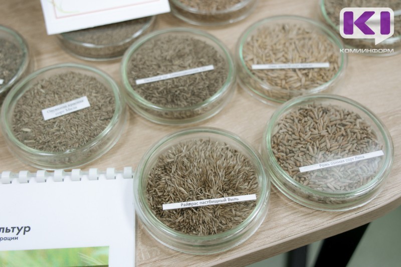 В Коми собираются выращивать сою