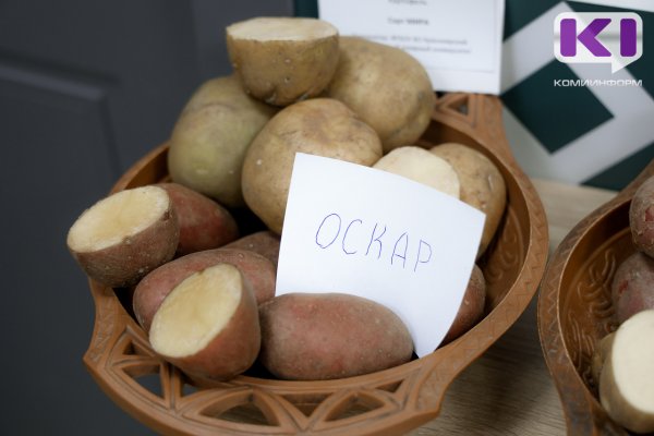 В Коми собирали рекордные в СССР урожаи картофеля - кандидат наук Сергей Семенчин 