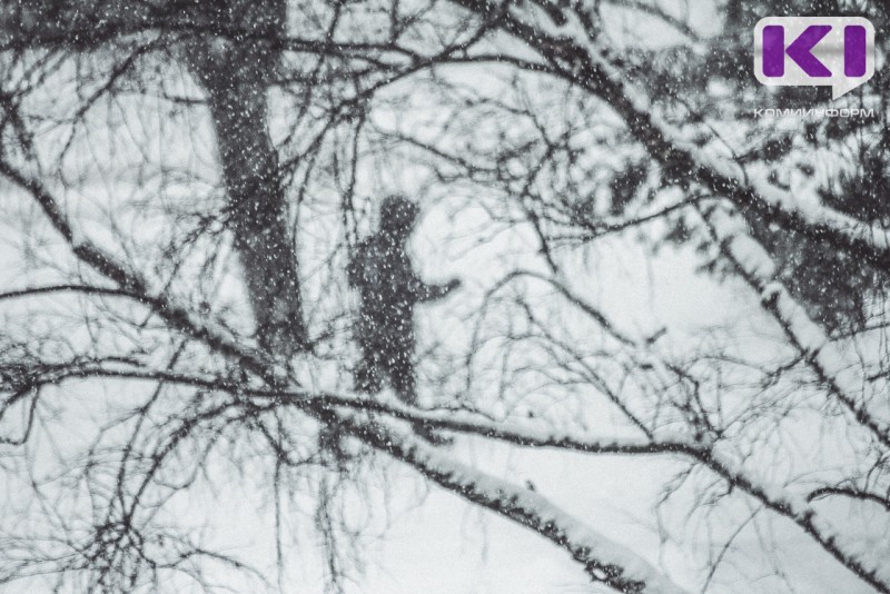 Погода в Коми 23 февраля: умеренный снег, -13...-18°С