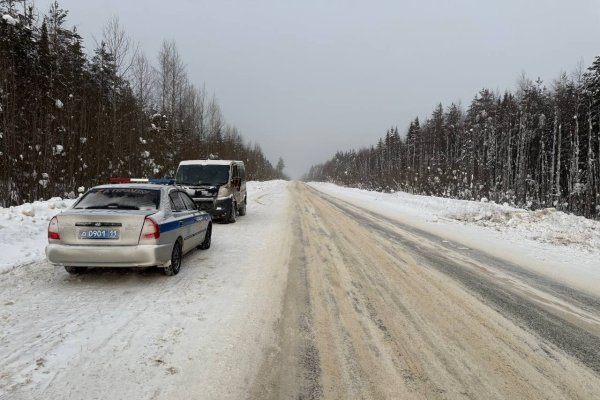 В Княжпогостском районе Peugeot съехал в кювет, пострадали две пожилые пассажирки
