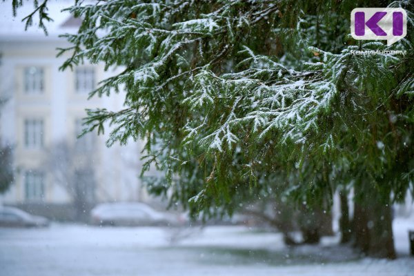 Погода в Коми 25 февраля: небольшой снег, южный ветер