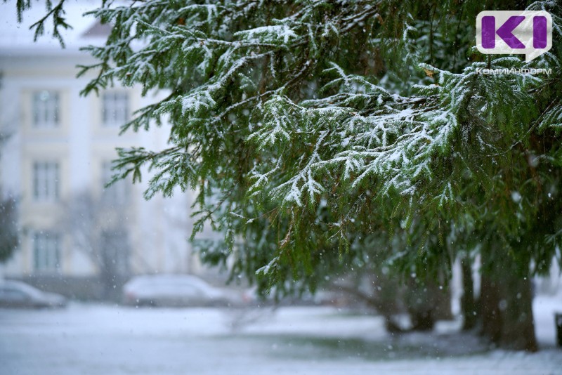 Погода в Коми 25 февраля: небольшой снег, южный ветер