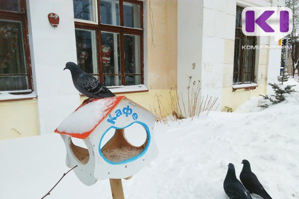 Арктический воздух принесет 30-градусные морозы в Коми на первой неделе марта