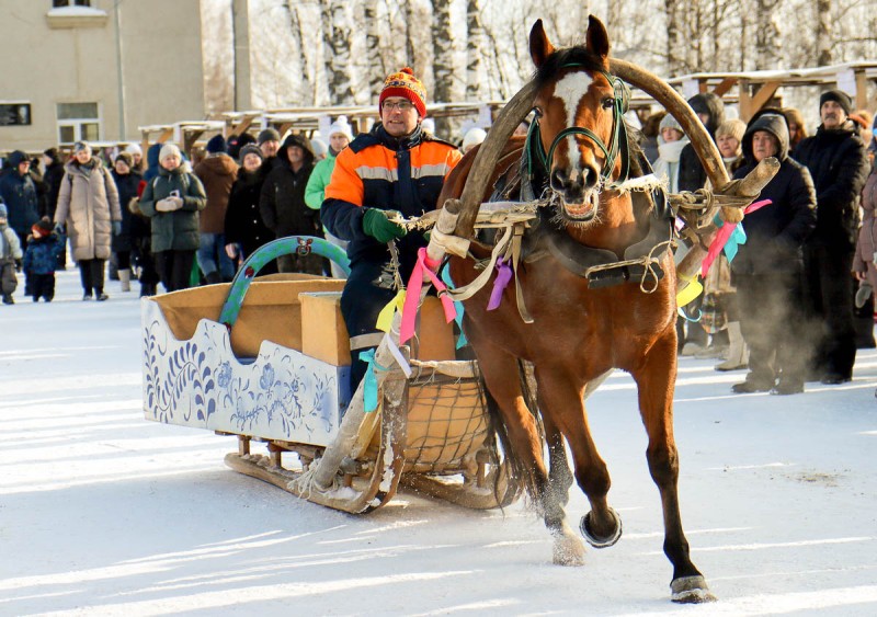 Как запрещенный праздник "Гажа валяй" возродился в Коми с новыми традициями 