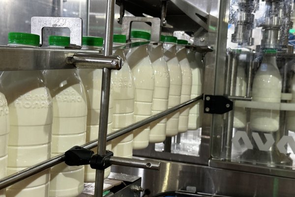 Господдержка помогает сохранять доступность молока в Коми