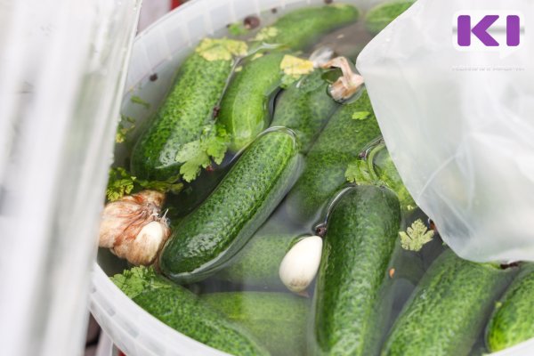 Цены на огурцы в Коми упали на 13,5% за неделю