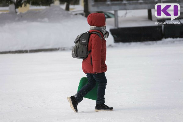 В каких городах и районах Коми объявили актированный день