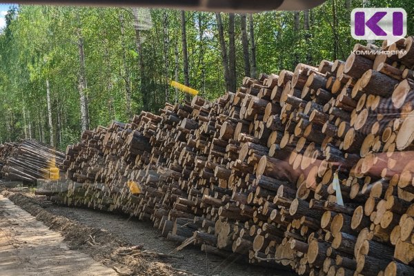 Североморский Россельхознадзор предупредил лесников об ужесточении требований 
