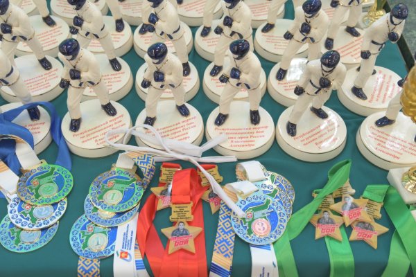 Сыктывкар примет межрегиональный турнир по рукопашному бою