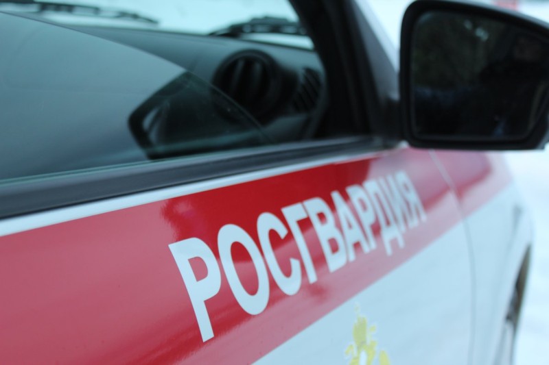 Две попытки хищения пресекли росгвардейцы в гипермаркете Сыктывкара