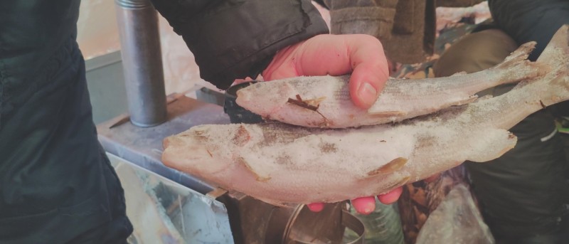 В заказнике "Визингский" выявлены нарушения природоохранного законодательства