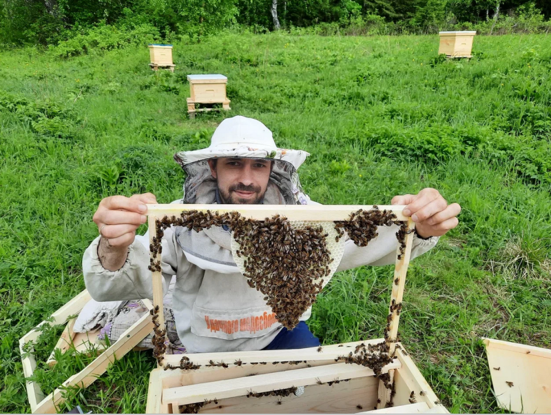 В Коми действуют 45 пчеловодческих хозяйств

