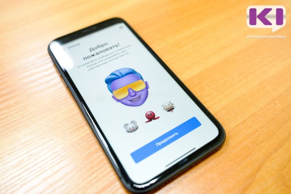 Полицейские Сыктывкара раскрыли хищение полумиллиона рублей с банковского счета