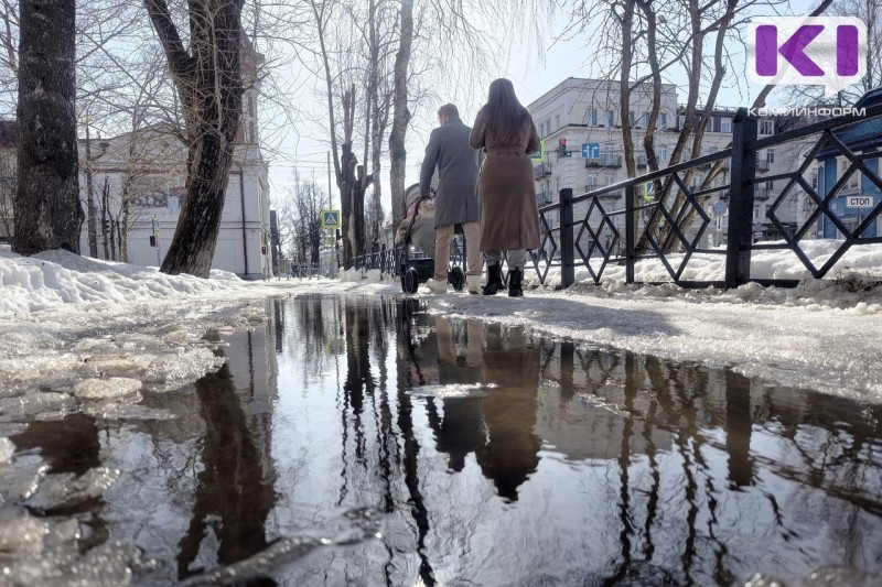 Погода в Коми 20 марта: небольшие осадки, в Воркутинском районе сильный снег