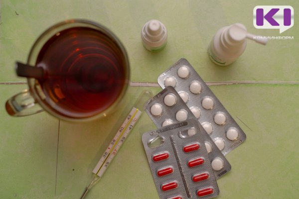 В Коми продолжают болеть гриппом, но заболеваемость снижается  