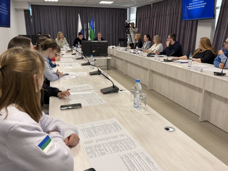 Общественный совет при Минмолодёжи Коми утвердил план работы и определил новый формат деятельности