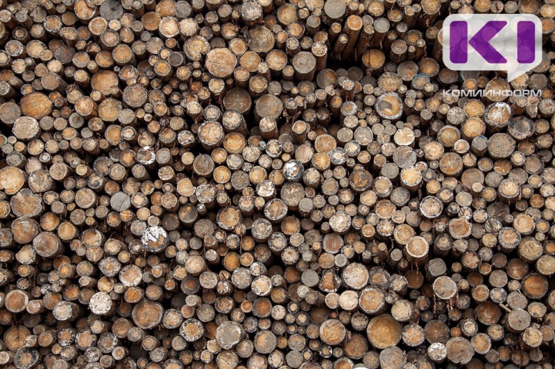 Компания из Ирака обратилась в Арбитражный суд Коми для защиты своих прав 