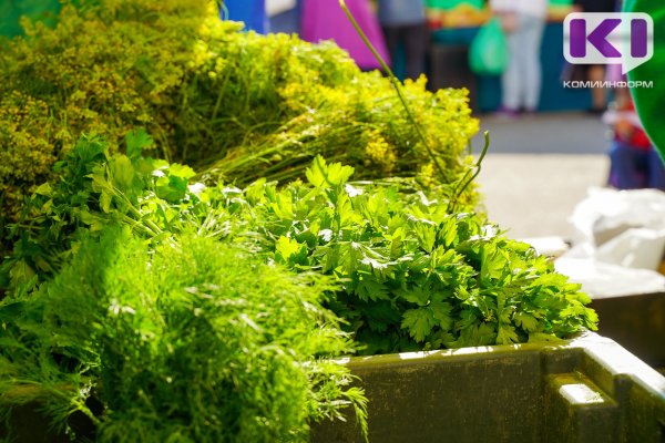 Слабость весной: какие продукты помогут взбодриться