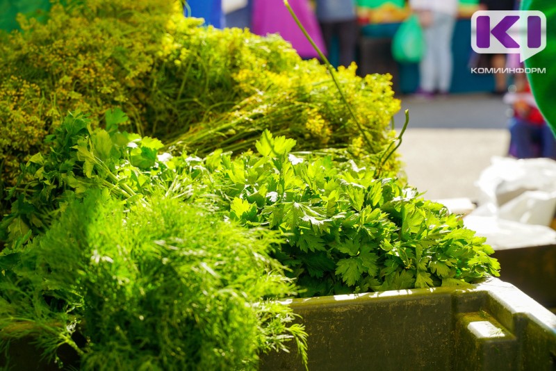 Слабость весной: какие продукты помогут взбодриться