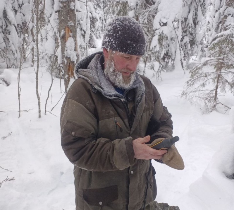 В нацпарке "Койгородский" выросла популяция белок