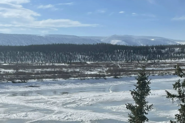 В Коми нарушители оштрафованы за незаконное нахождение в нацпарке 