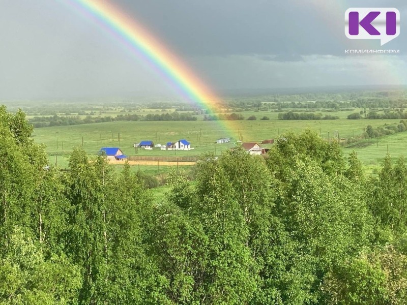 "Искателям клада" на полях в Выльгорте потребовалась помощь спасателей 