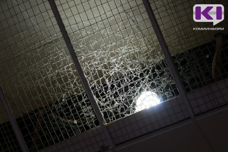 "Я ничего не знал" - в суде огласили показания сожителя Марии Усатовой по делу о передержке животных в Выльгорте