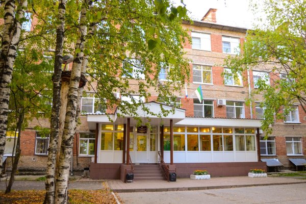 Wi-Fi, который принес аист: беспроводным доступом в интернет обеспечили пациенток Коми перинатального центра