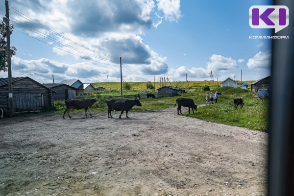 Агропредприятие в Прилузье компенсировало ущерб экологии