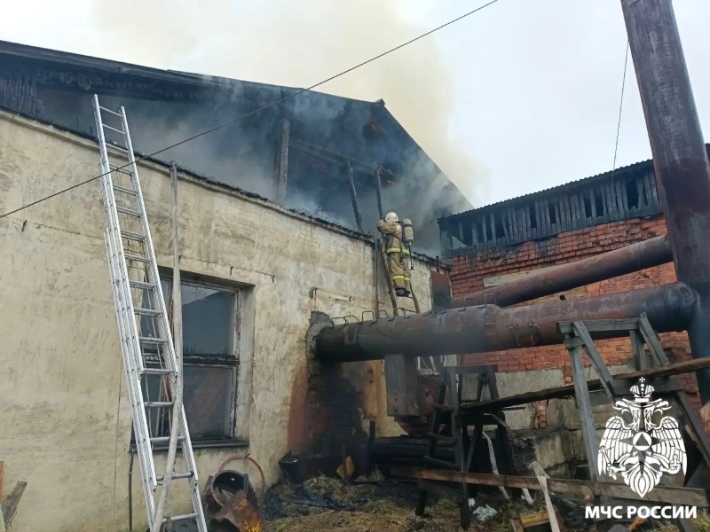 В Койгородском районе произошел пожар в молочном цехе - Минсельхоз Коми