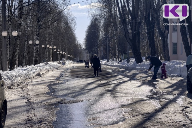 Погода в Коми 5 апреля: северный ветер и небольшие осадки