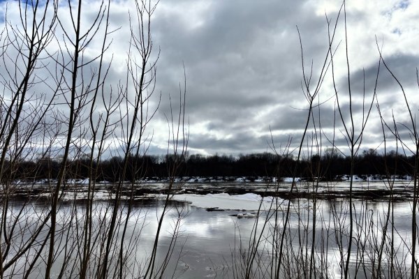 Погода в Коми 6 апреля: восточный ветер, +4...+6°С
