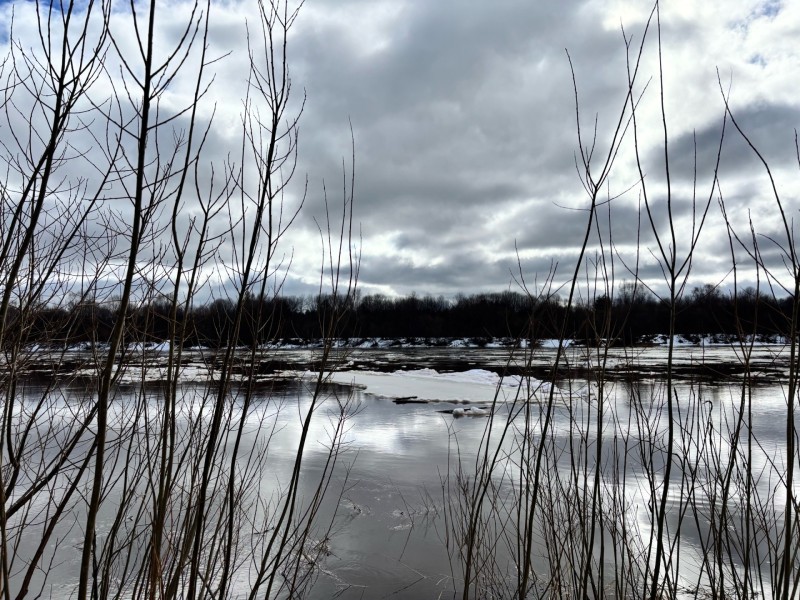 Погода в Коми 6 апреля: восточный ветер, +4...+6°С