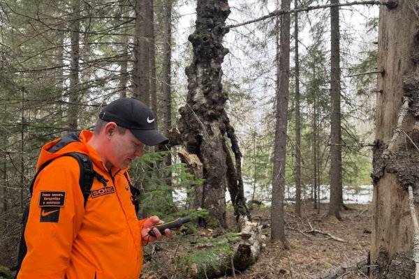 В марте волонтеры 