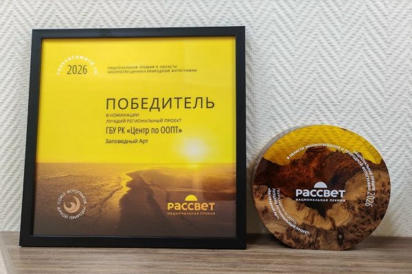 Культурно-просветительский проект из Коми победил в Национальной премии 