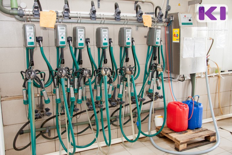 Молоко - для жителей Коми: Минсельхоз скорректировал правила субсидий ради продовольственной безопасности