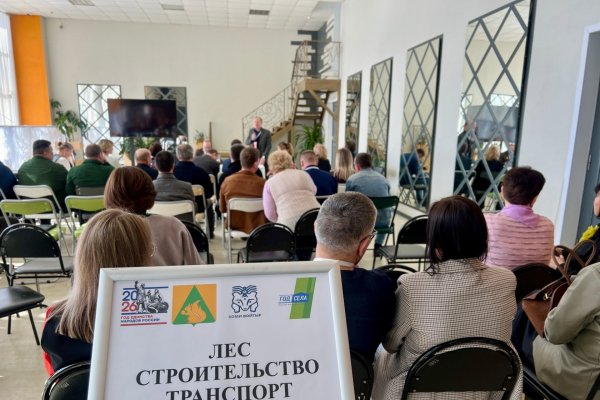 В Усть-Куломе предприниматели предложили скорректировать Лесной план в части зонирования хозяйственного освоения лесов