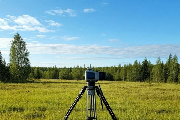 Землю – в дело: в Минсельхозе Коми собирают заявки с мест на межевание и кадастровые работы
