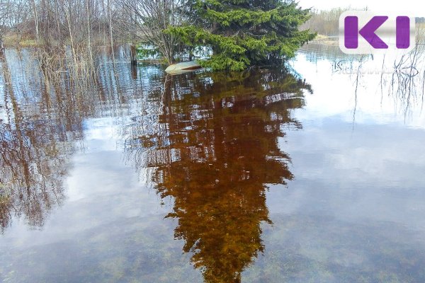 На реке Сысоле произошло формирование максимальных уровней воды 