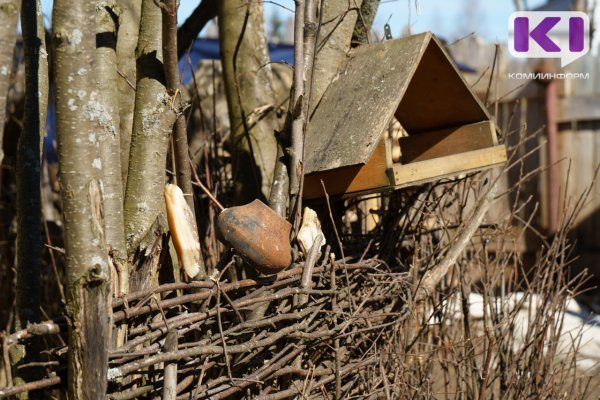 Погода в Коми 16 апреля: от -19°С в Воркуте до +17°С на юге