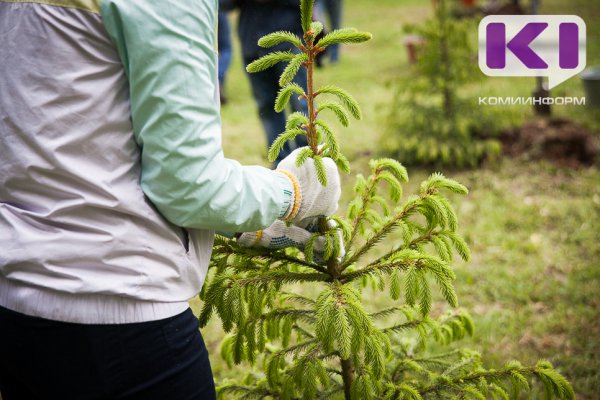 В 26 регионах Фонд защитников природы и ВТБ реализовали природоохранные проекты