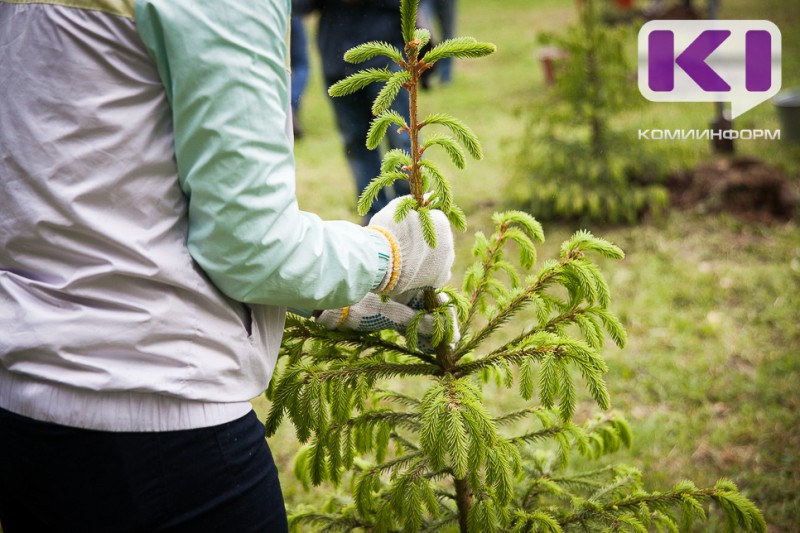 В 26 регионах Фонд защитников природы и ВТБ реализовали природоохранные проекты