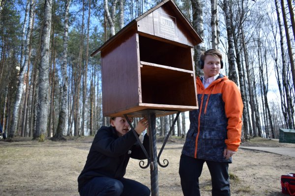 Книжный домик вернулся в Мичуринский парк в Сыктывкаре