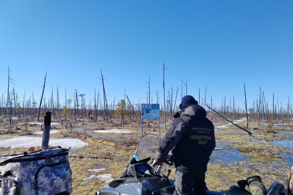 Фотоловушки в 